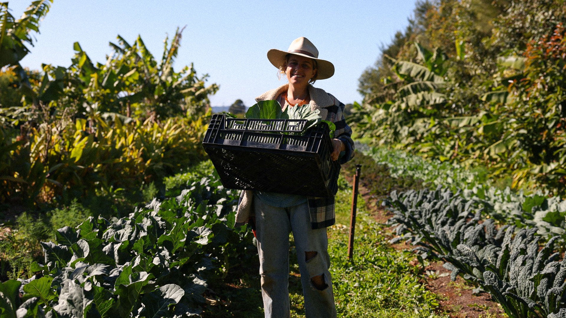 Growing a Greener Tomorrow: Supporting our Young Farmers