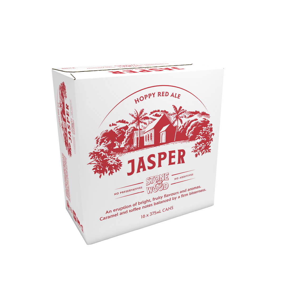 Jasper Ale 16x 375ml can carton
