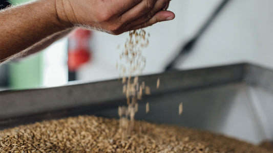 Stone & Wood Brewing Process
