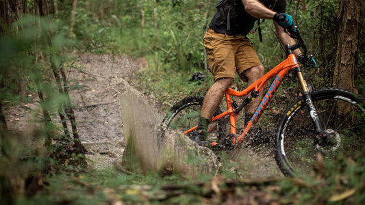Seek & Enjoy: Our Cloud Catcher Pale Ale