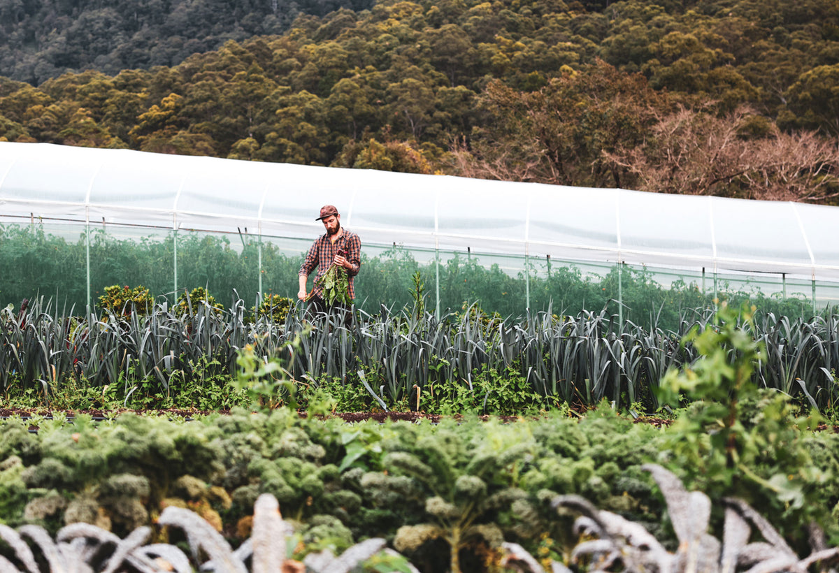 From Coldie to Compost: A Love Story – Stone & Wood Brewing Co