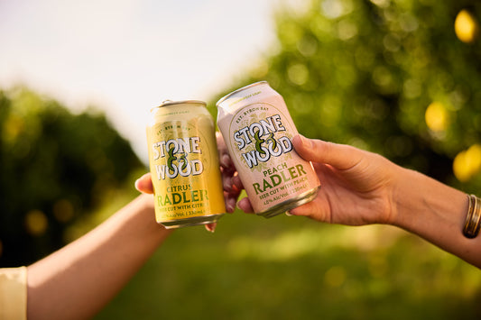 Radler Build Your Own Mixed Carton